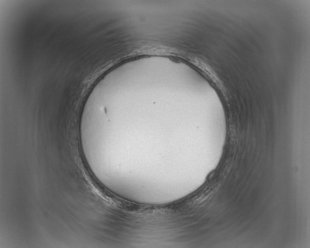 X0000073990433200609181746