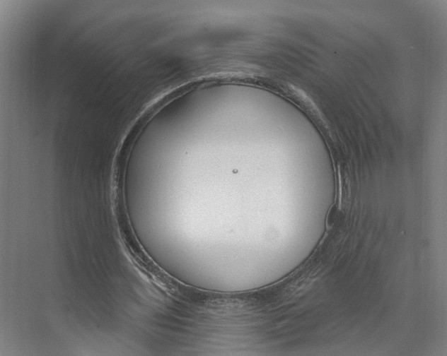 X0000073990435200609181746