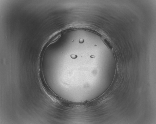 X0000073990438200609181746