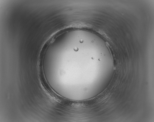 X0000073990440200609181746