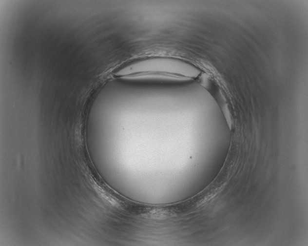 X0000073990441200609181746