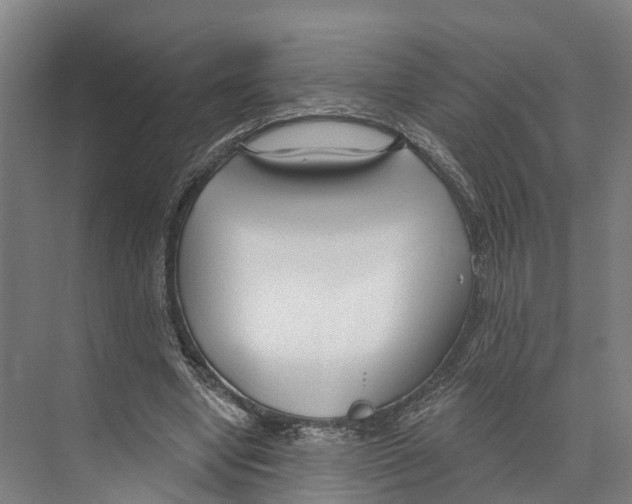 X0000073990442200609181746