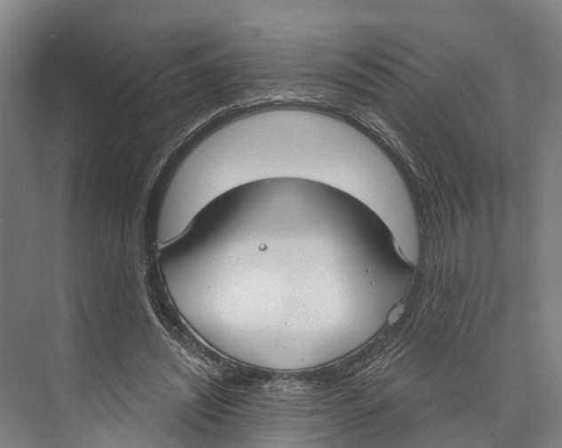 X0000073990444200609181746