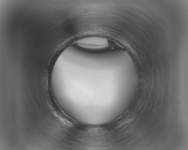 X0000073990446200609181746