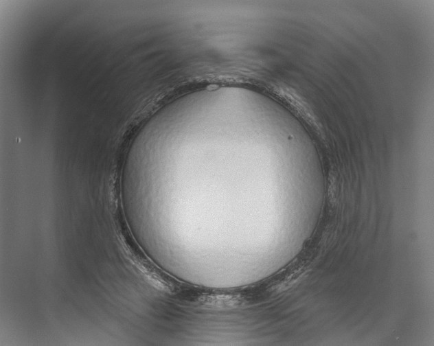 X0000073990449200609181746