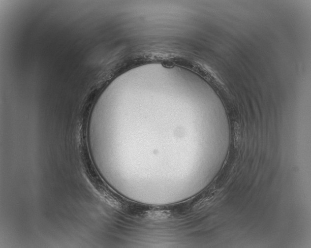 X0000073990451200609181746