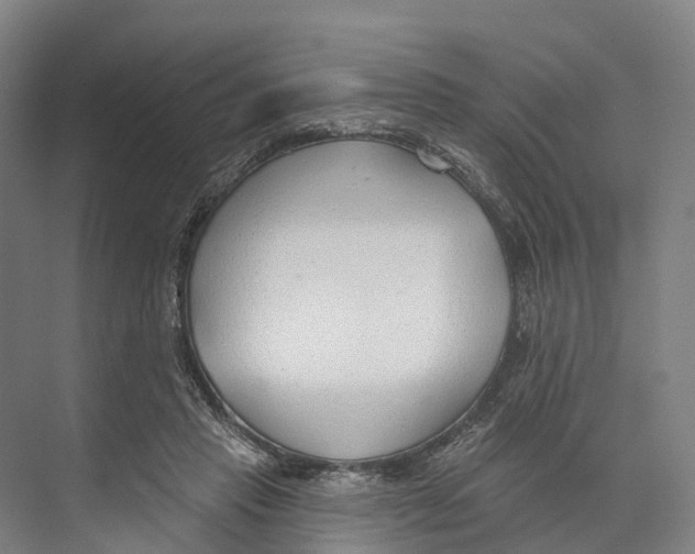 X0000073990453200609181747