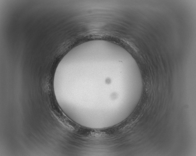 X0000073990455200609181747