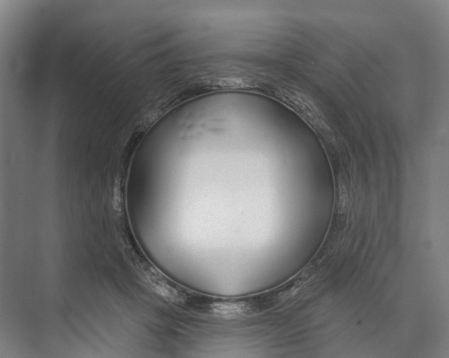 X0000073990457200609181747