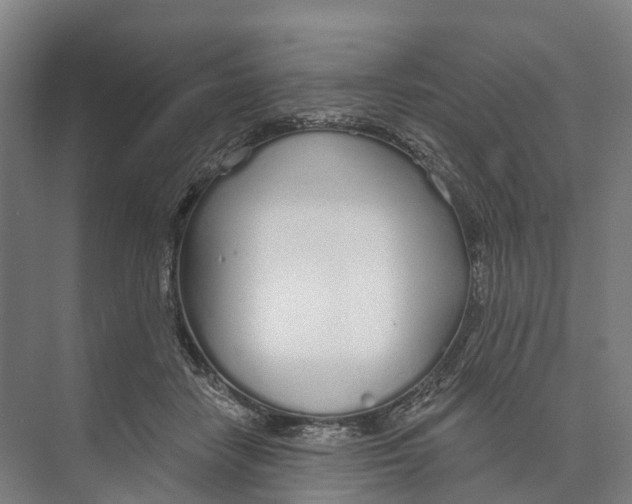 X0000073990458200609181747