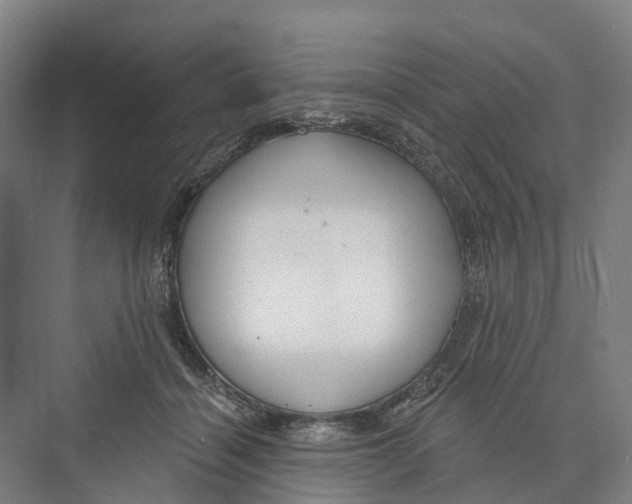 X0000073990460200609181747