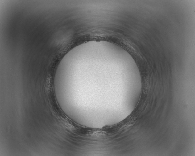 X0000073990463200609181747