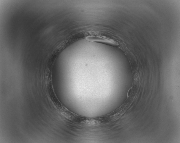 X0000073990464200609181747