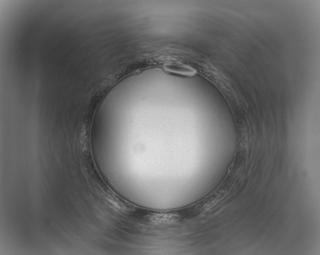 X0000073990465200609181747