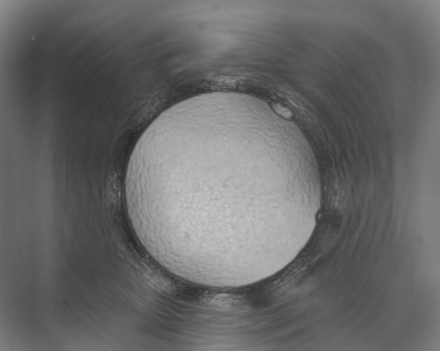 X0000073990467200609181747