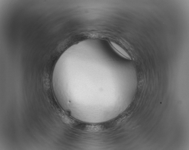 X0000073990469200609181747