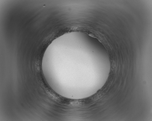 X0000073990470200609181747