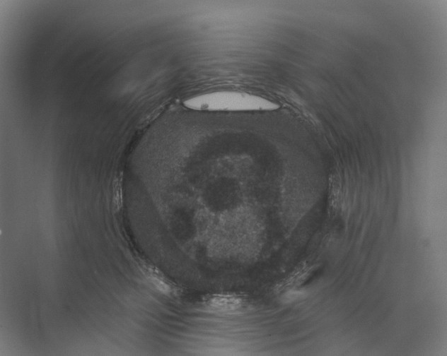 X0000073990471200609181747