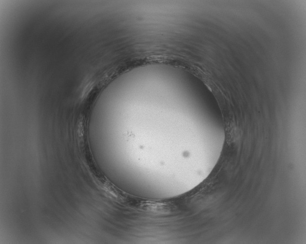 X0000073990472200609181747