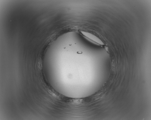 X0000073990474200609181747