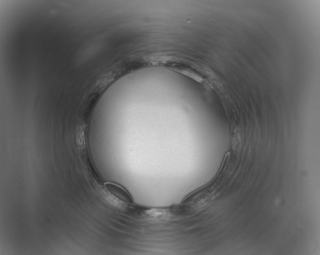 X0000073990477200609181747