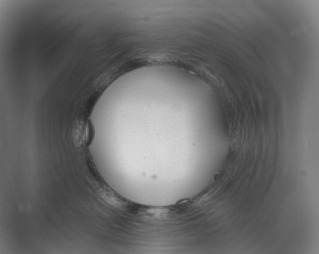 X0000073990478200609181747