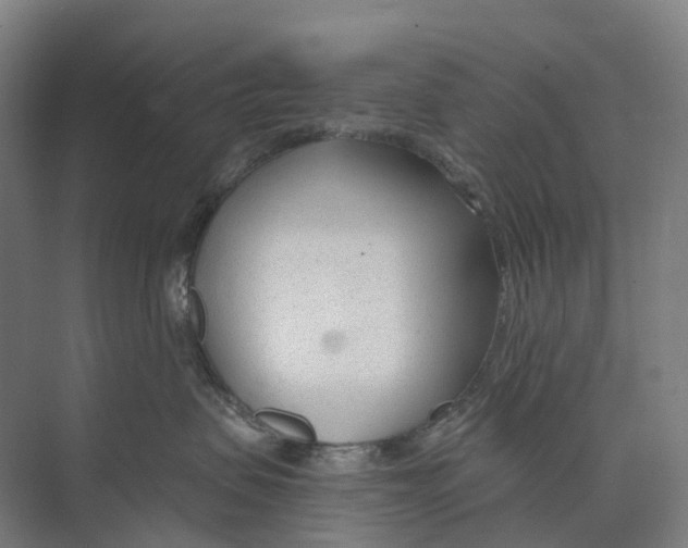 X0000073990479200609181747