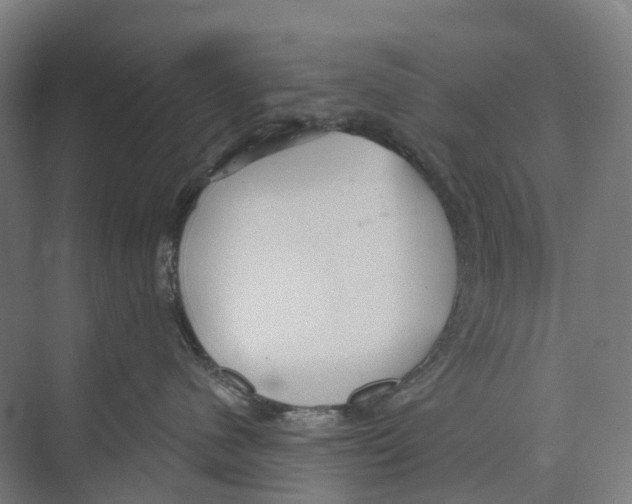 X0000073990480200609181747