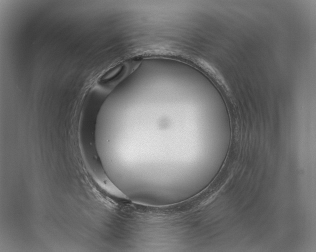 X0000073990481200609181746