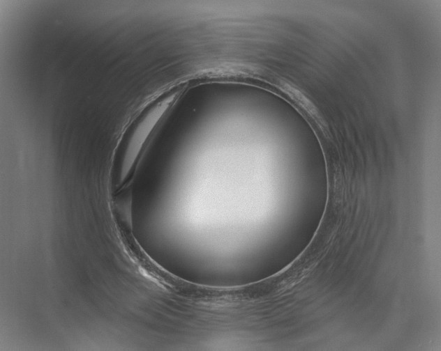 X0000073990485200609181746