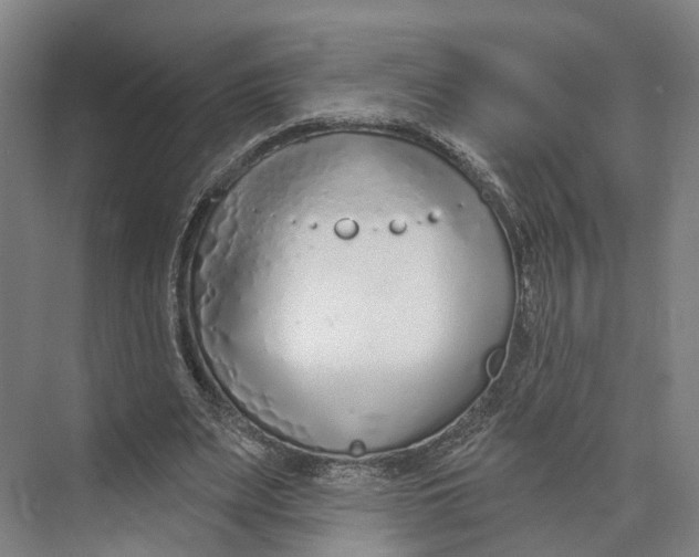 X0000073990487200609181746