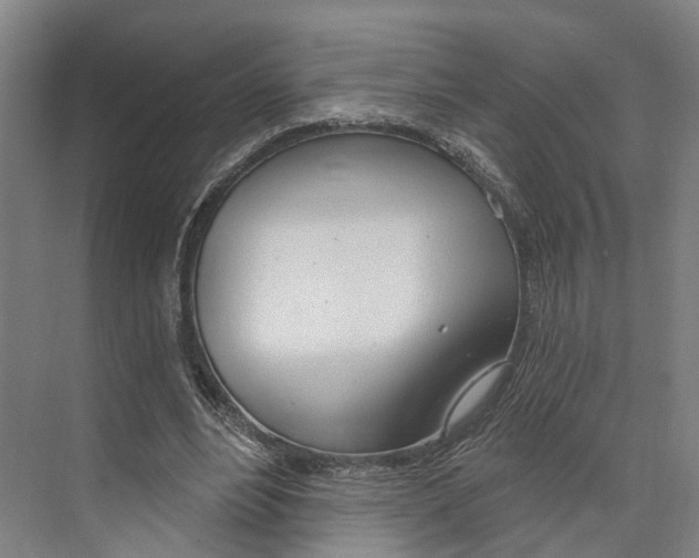 X0000073990488200609181746