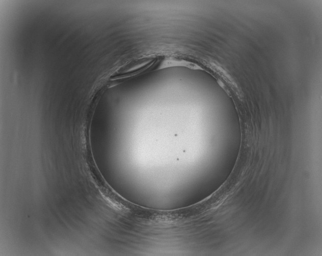 X0000073990489200609181746