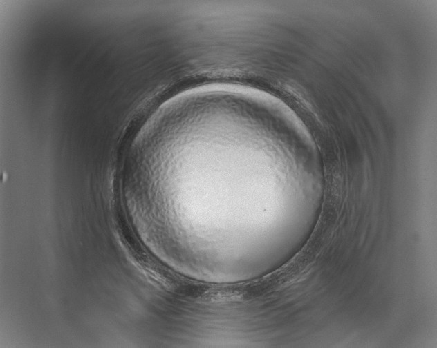 X0000073990491200609181746