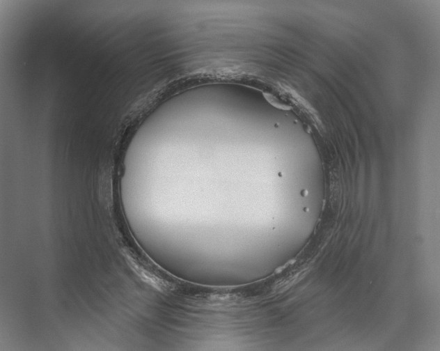 X0000073990493200609181746