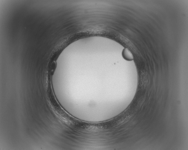 X0000073990494200609181746