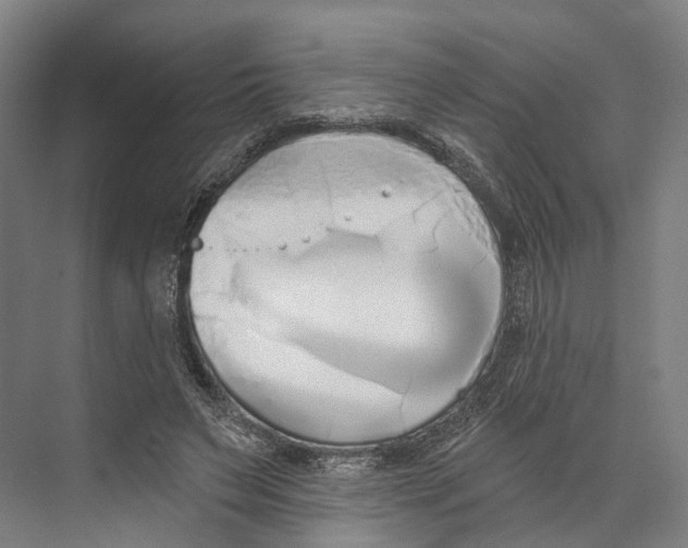 X0000073990495200609181746