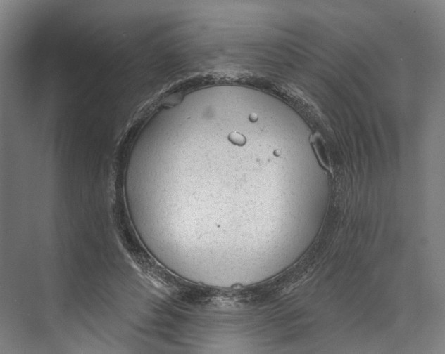 X0000073990496200609181746