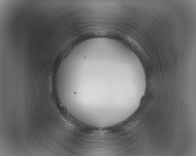 X0000073990497200609181746