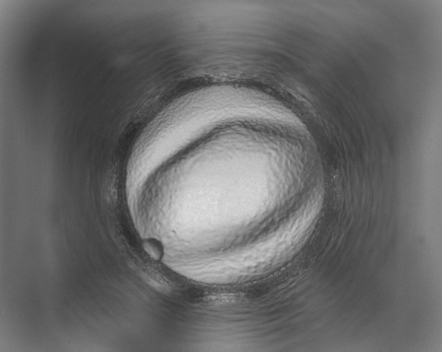 X0000073990499200609181746