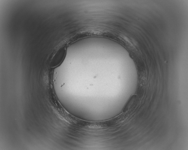 X0000073990500200609181746