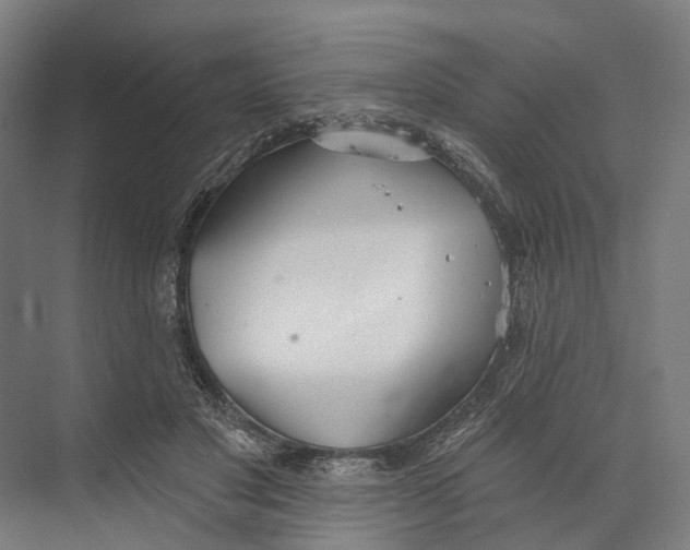 X0000073990501200609181746