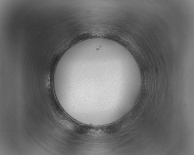 X0000073990502200609181746