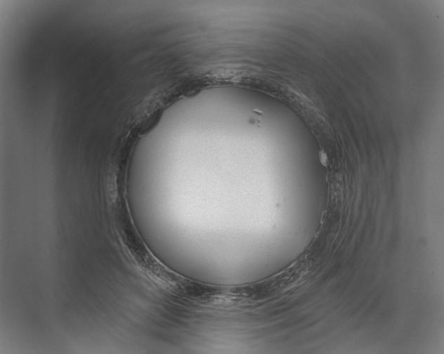 X0000073990504200609181746