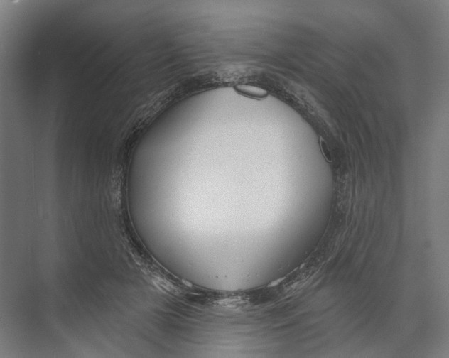 X0000073990505200609181746