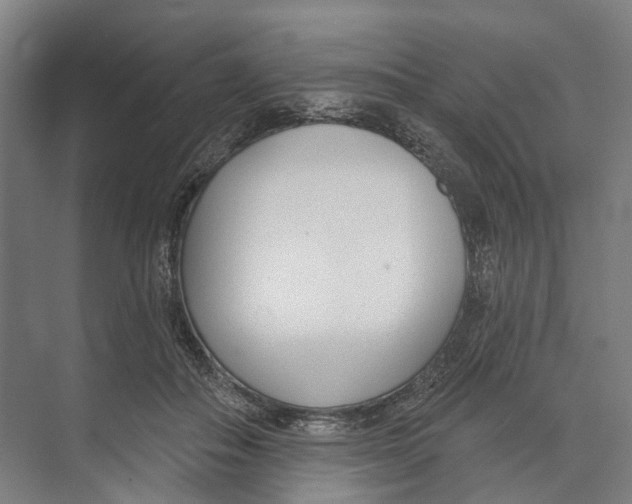 X0000073990506200609181746