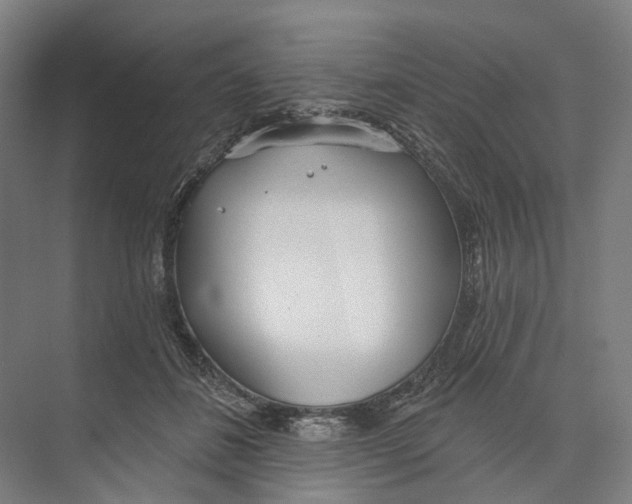 X0000073990508200609181746