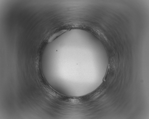 X0000073990509200609181746