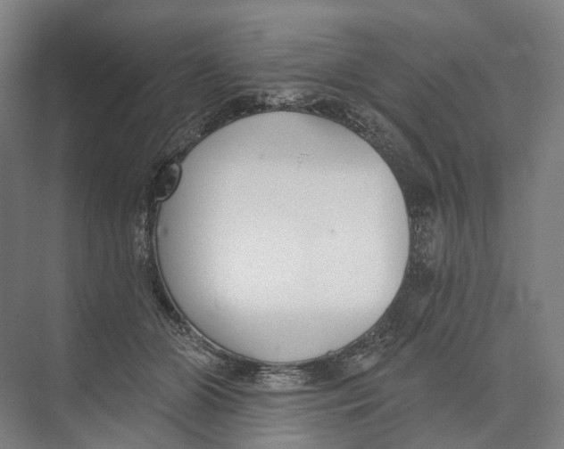 X0000073990510200609181746