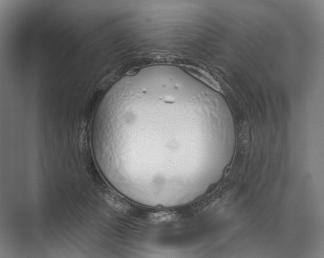 X0000073990511200609181746